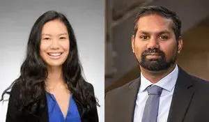 Liu and Nallathamby